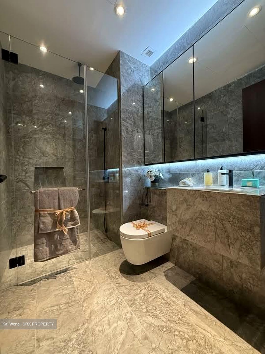 Jervois Privé (D10), Apartment #539801991